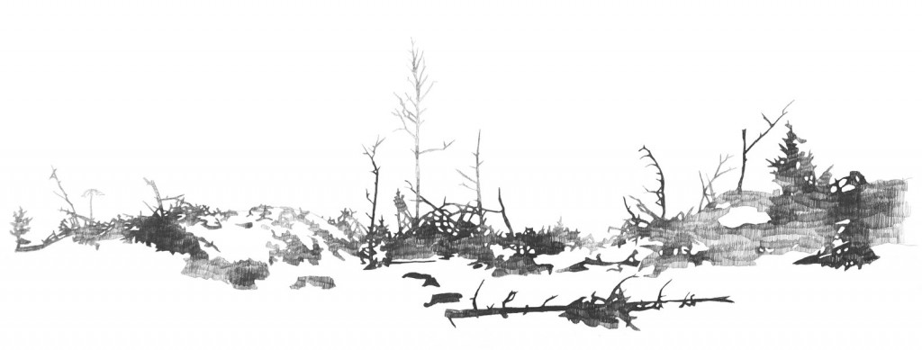 Teckning av kalhygge i Bottna, Bohuslän. Blyerts